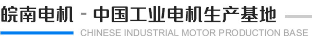 皖南電機 中國工業用

電機生產基地